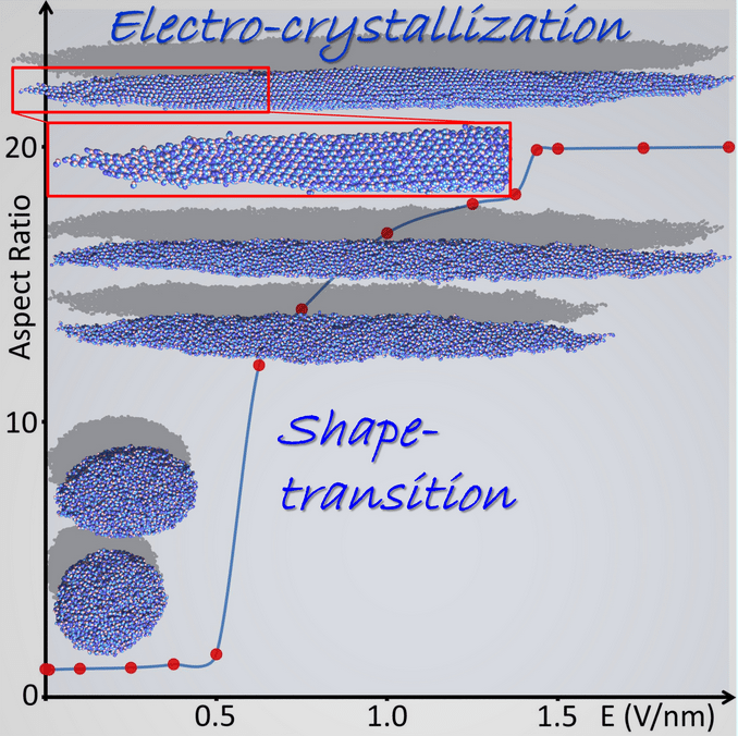 electrocrystal
